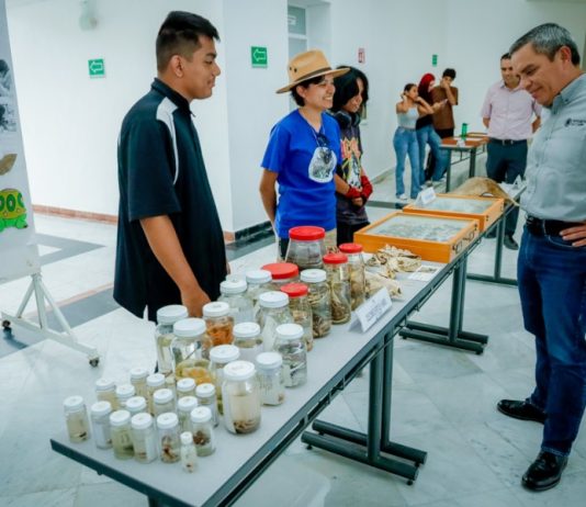 Arranca el programa de Prácticas Integradoras en Territorio Biodiverso, con unión de la academia y empresas