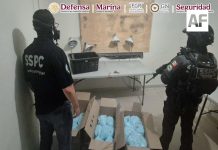 Autoridades federales detienen a seis personas y aseguran 270 kilos de presunto fentanilo en Villa de Álvarez,Colima