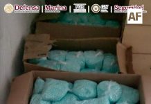 Autoridades federales detienen a seis personas y aseguran 270 kilos de presunto fentanilo en Villa de Álvarez,Colima