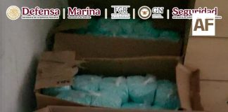 Autoridades federales detienen a seis personas y aseguran 270 kilos de presunto fentanilo en Villa de Álvarez,Colima