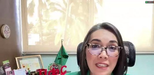 Políticas públicas deben reconocer el cuidado como un derecho para evitar desigualdad de género: K. Batthyány