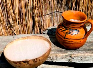 Pulque de Tlaxcala obtiene protección oficial como Indicación Geográfica