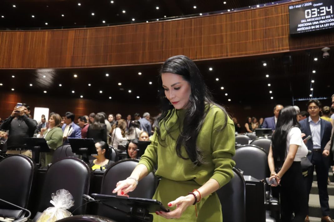 Diputada Federal Mery Pozos