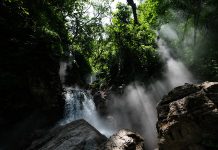 Bosque La Primavera celebra 46 años como Área Natural Protegida en Jalisco