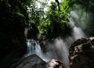 Bosque La Primavera celebra 46 años como Área Natural Protegida en Jalisco