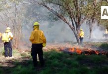 Brigada de Gobierno del Estado de Colima está lista para combatir incendios forestales