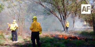 Brigada de Gobierno del Estado de Colima está lista para combatir incendios forestales