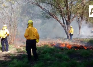 Brigada de Gobierno del Estado de Colima está lista para combatir incendios forestales