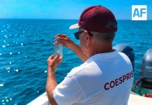 Playas colimenses son aptas para uso recreativo en Semana Santa y Pascua: Secretaría de Salud