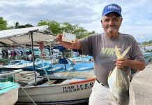 Conapesca anuncia renovación de tarjetas del programa Bienpesca del 9 al 22 de marzo