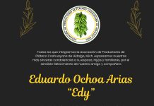 Productores de plátano en Michoacán lamentan fallecimiento de Eduardo Ochoa