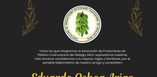 Productores de plátano en Michoacán lamentan fallecimiento de Eduardo Ochoa