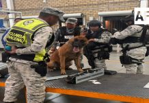 Aseguran metanfetamina con destino a Nueva Zelanda en Jalisco; operativos dejan detenciones y decomisos en 10 estados