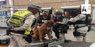 Aseguran metanfetamina con destino a Nueva Zelanda en Jalisco; operativos dejan detenciones y decomisos en 10 estados