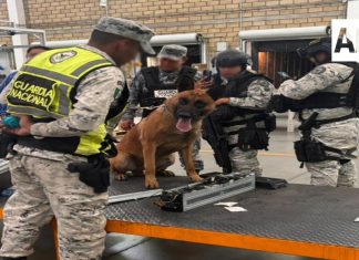 Aseguran metanfetamina con destino a Nueva Zelanda en Jalisco; operativos dejan detenciones y decomisos en 10 estados