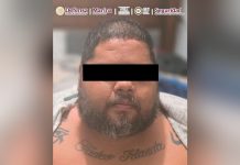 Detienen en Michoacán a operador de grupo delictivo ligado a extorsión de productores de aguacate y limón