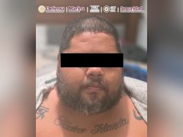 Detienen en Michoacán a operador de grupo delictivo ligado a extorsión de productores de aguacate y limón