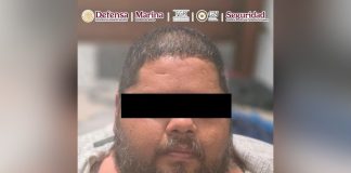 Detienen en Michoacán a operador de grupo delictivo ligado a extorsión de productores de aguacate y limón