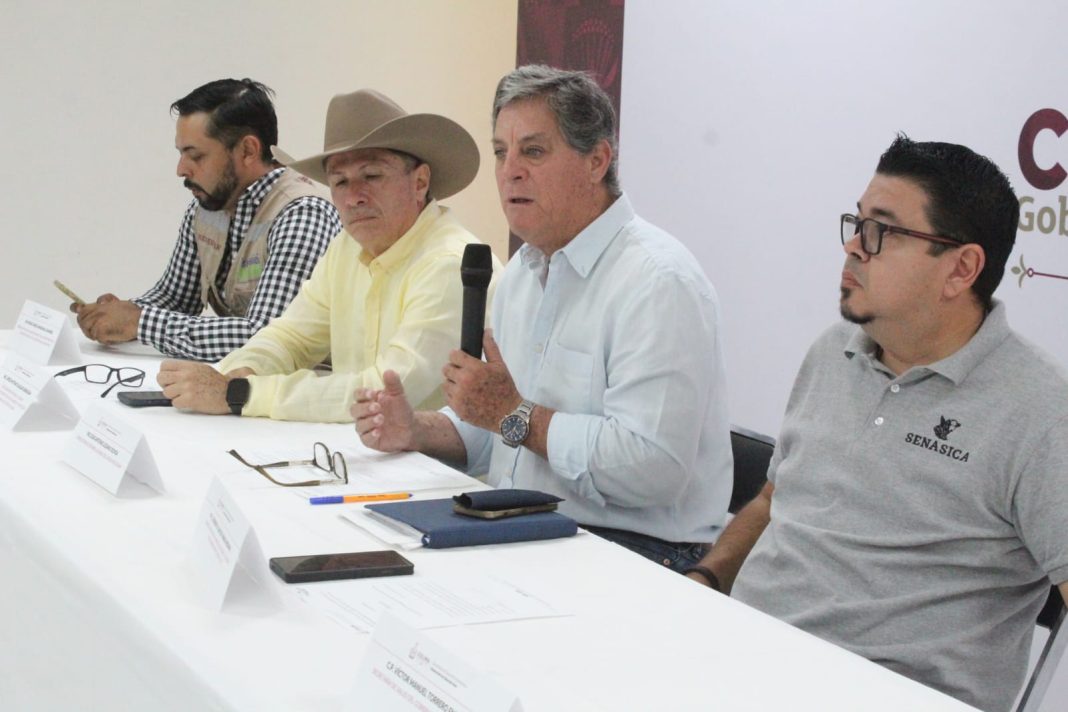 gusano barrenador piden avisar 01