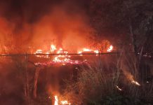 Fuego alcanza corralón de la Fiscalía y provoca daños en vehículos asegurados