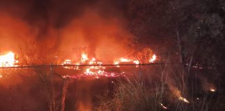 Fuego alcanza corralón de la Fiscalía y provoca daños en vehículos asegurados