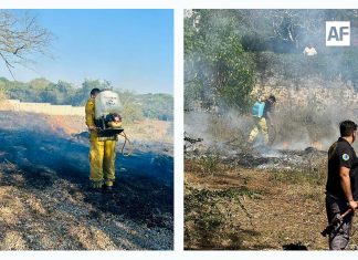 Protección Civil Comala alerta por riesgo de incendios en temporada de estiaje