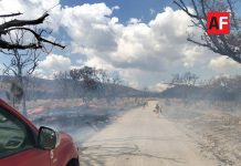 Se registra incendio en Bosque de La Primavera en Jalisco