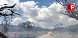 Se registra incendio en Bosque de La Primavera en Jalisco