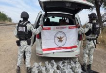 Detienen a una persona con 20 kilos de marihuana en Ameca, Jalisco