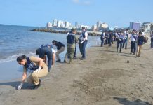 Despliegan más de 2 mil 450 elementos para atender presencia de hidrocarburos en costas del Golfo de México