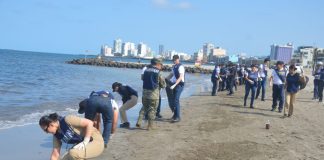 Despliegan más de 2 mil 450 elementos para atender presencia de hidrocarburos en costas del Golfo de México