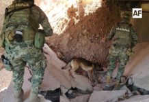 Marina y Defensa realizan operativo en puentes de Jalisco tras explosión en La Desembocada; descartan presencia de artefactos explosivos