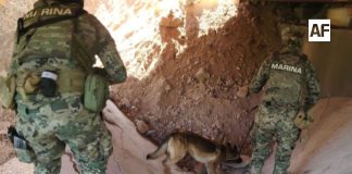 Marina y Defensa realizan operativo en puentes de Jalisco tras explosión en La Desembocada; descartan presencia de artefactos explosivos