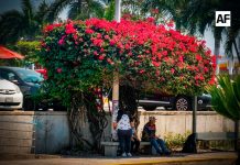 Sombra roja en la espera