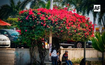 Sombra roja en la espera