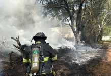 UEPC Colima exhorta a prevenir incendios forestales durante temporada de estiaje