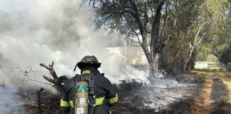 UEPC Colima exhorta a prevenir incendios forestales durante temporada de estiaje