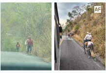 Alertan por presencia de peregrinos en carretera Minatitlán–Villa de Álvarez; piden extremar precauciones