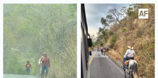 Alertan por presencia de peregrinos en carretera Minatitlán–Villa de Álvarez; piden extremar precauciones