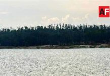 Hallan cuerpo sin vida en la Presa de Cointzio, en Morelia