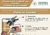 ¡No permitas que te estafen! Sigue estas recomendaciones para evitar fraudes en rentas de inmuebles esta temporada vacacional