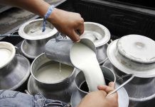 Gobierno del Estado de Colima fortalece acciones para prevenir casos de brucelosis