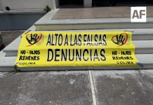 Asociación colimense se une a manifestación nacional por casos de alienación parental