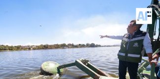 Gobierno de Jalisco termina acciones de limpieza en la presa Las Pintas