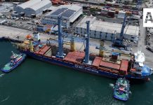 Llegan 2 nuevas grúas terrestres Liebherr al puerto de Manzanillo