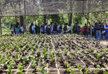 Reciben estudiantes de la UdeC prácticas ambientales en Rancho El Peregrino