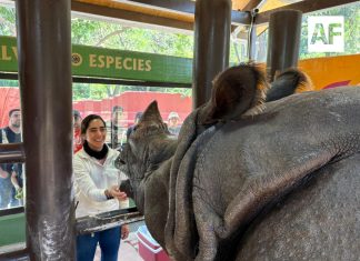 Zoológico Guadalajara es una de las mejores opciones en estas vacaciones