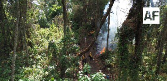 Imades Colima pide prevenir incendios forestales en estiaje; 90% son provocados por actividad humana
