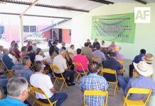 Sedeco y sector productivo impulsan el desarrollo en el estado de Colima