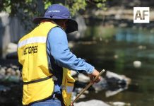 Gracias a labores de prevención, Colima acumula más de 20 años sin paludismo: Salud